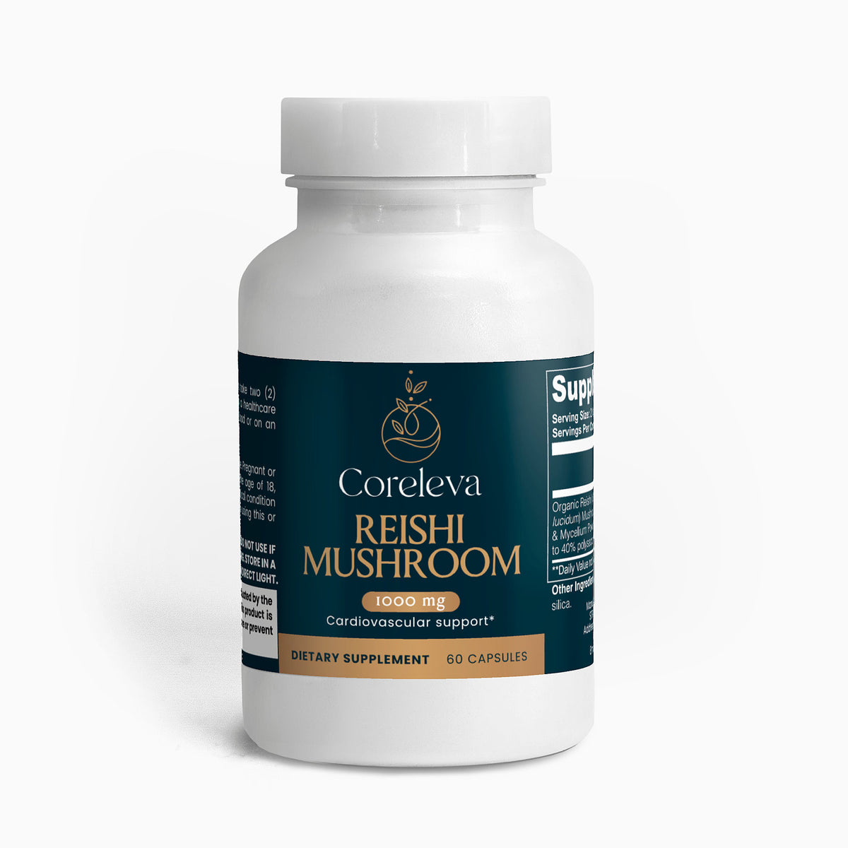 Reishi Mushroom